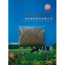 Achovy Fish Meal for Feed with High Protein